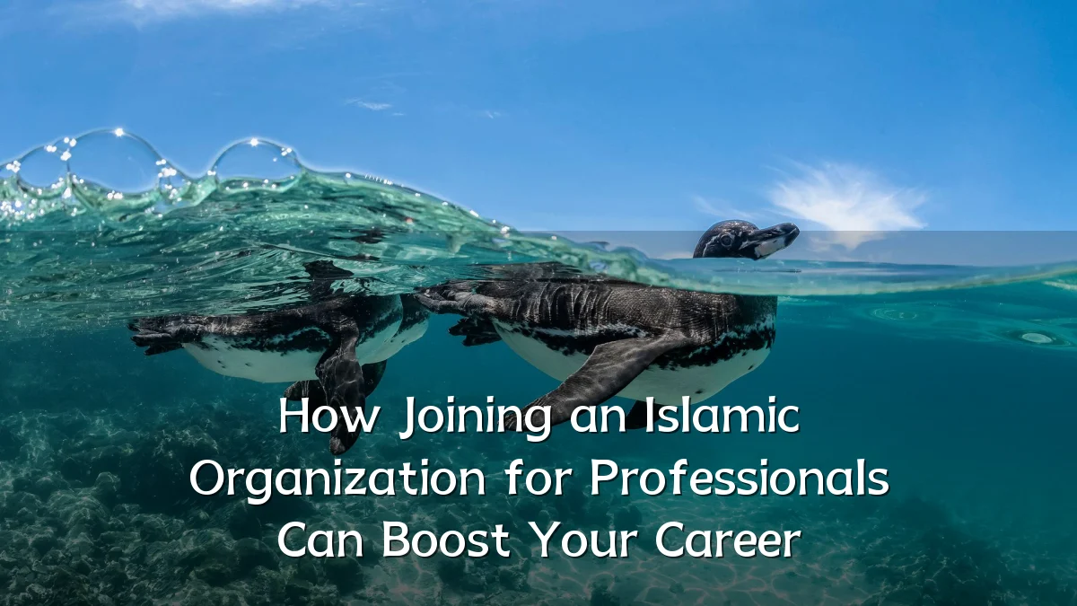 How Joining an Islamic Organization for Professionals Can Boost Your Career