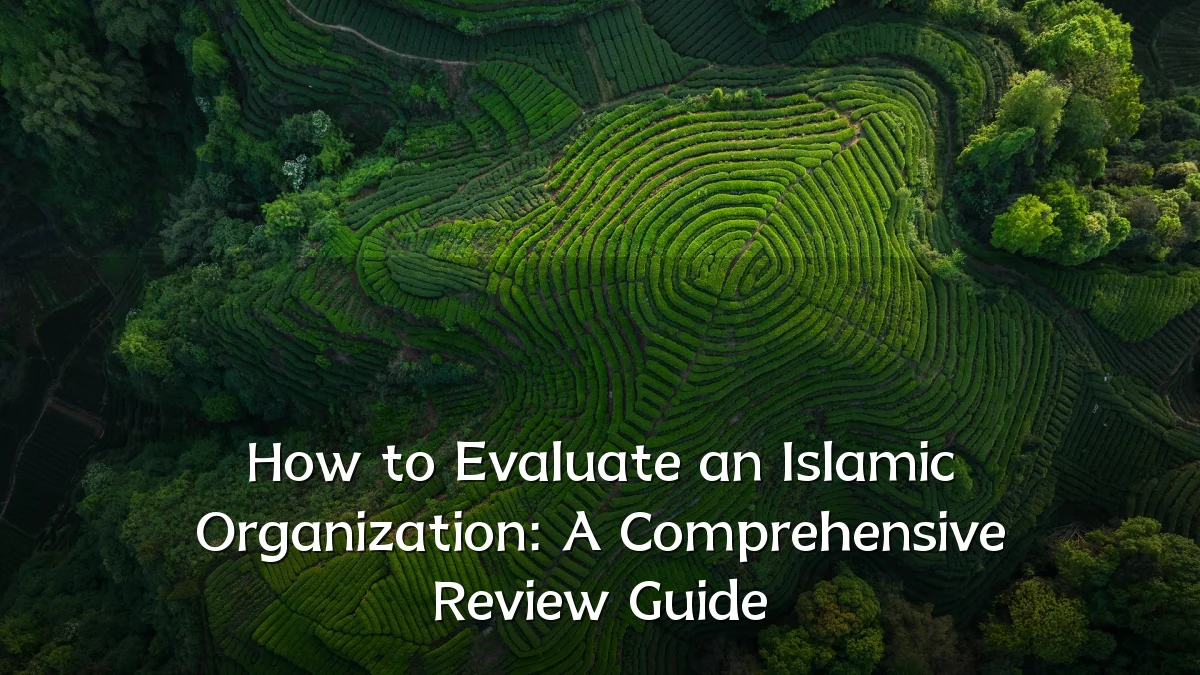 How to Evaluate an Islamic Organization: A Comprehensive Review Guide