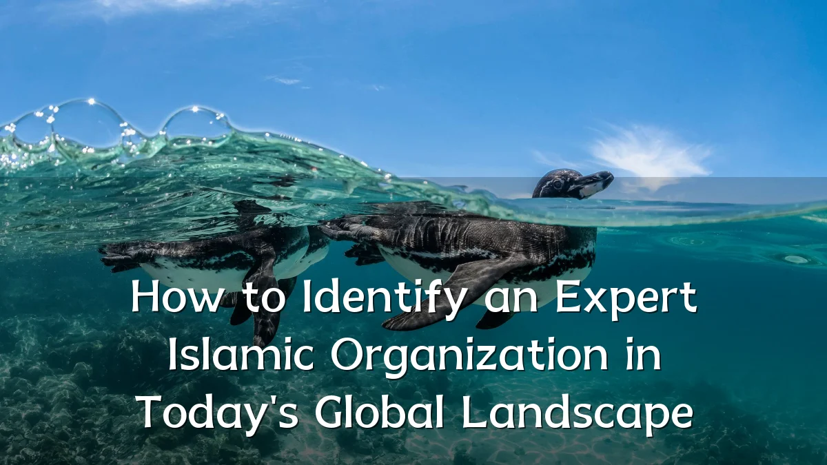 How to Identify an Expert Islamic Organization in Today's Global Landscape