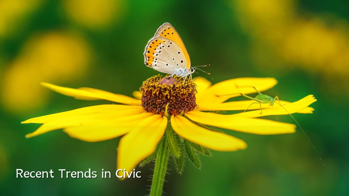 Recent Trends in Civic