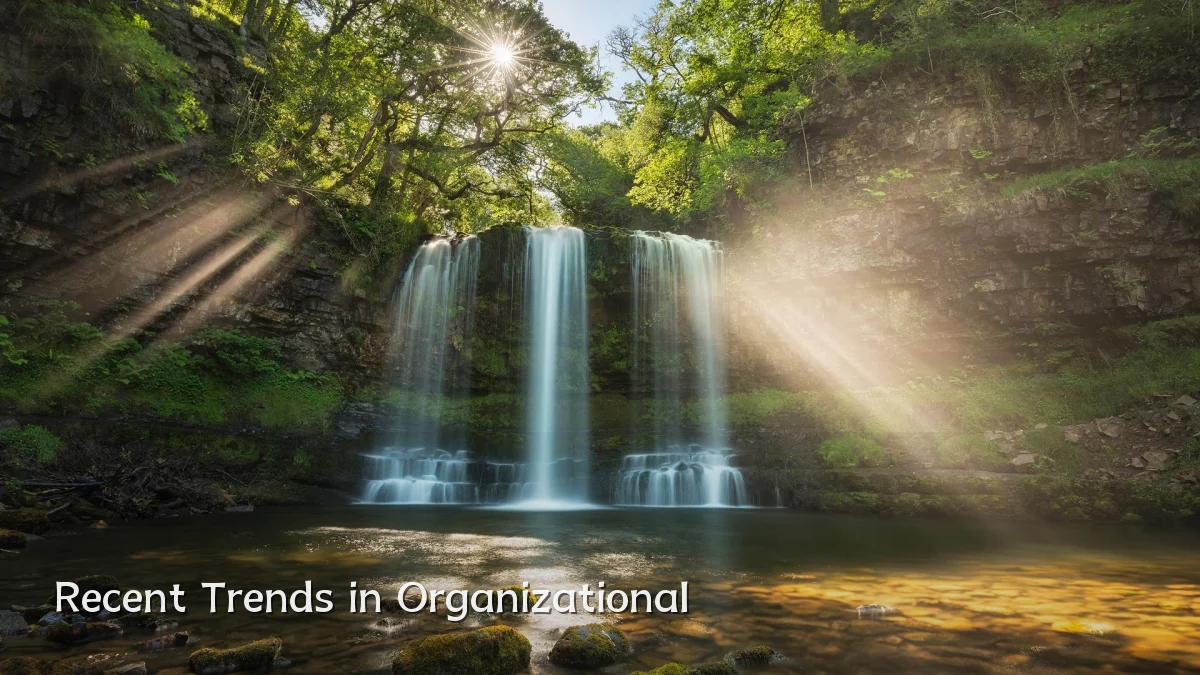 Recent Trends in Organizational