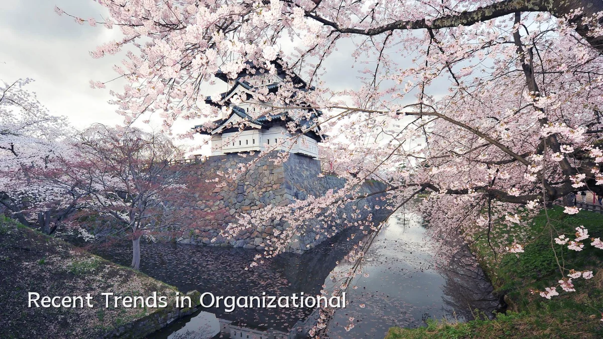 Recent Trends in Organizational