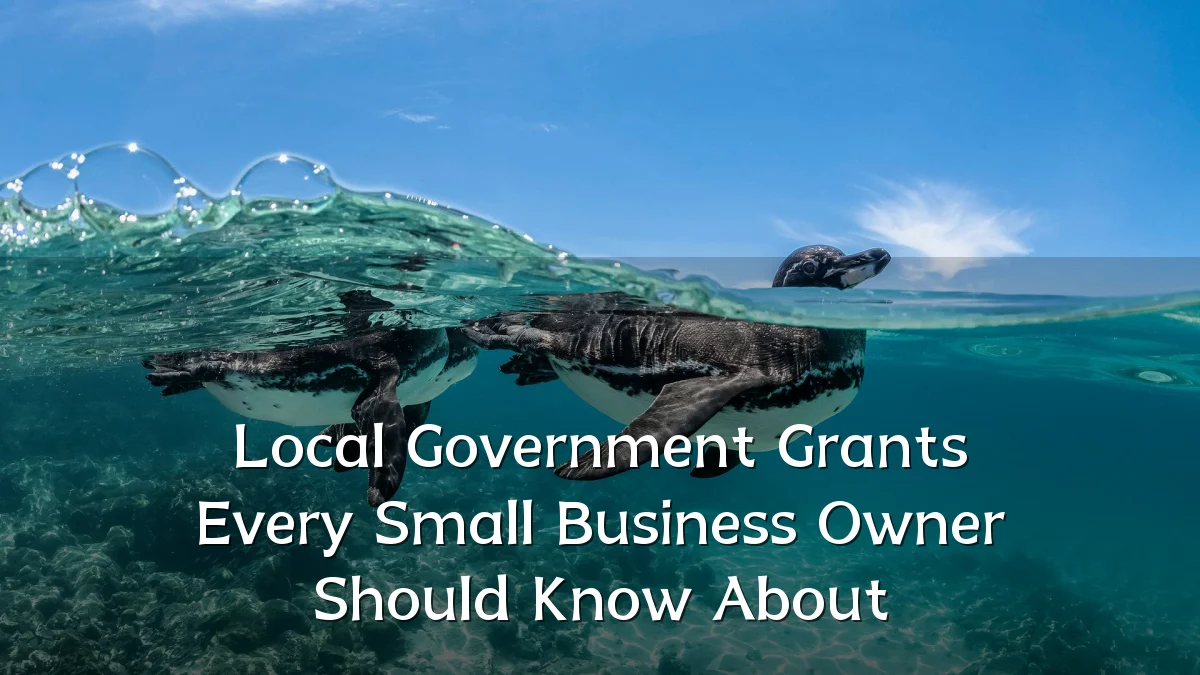 Local Government Grants Every Small Business Owner Should Know About