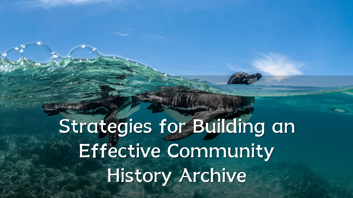 Strategies for Building an Effective Community History Archive