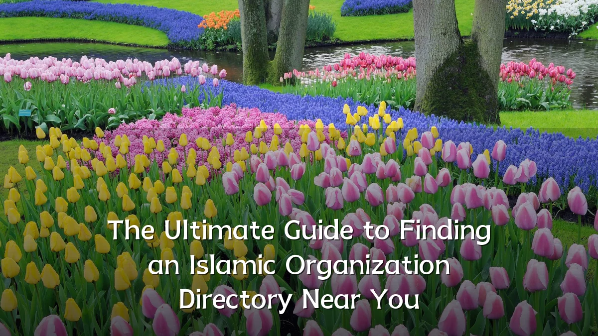 The Ultimate Guide to Finding an Islamic Organization Directory Near You