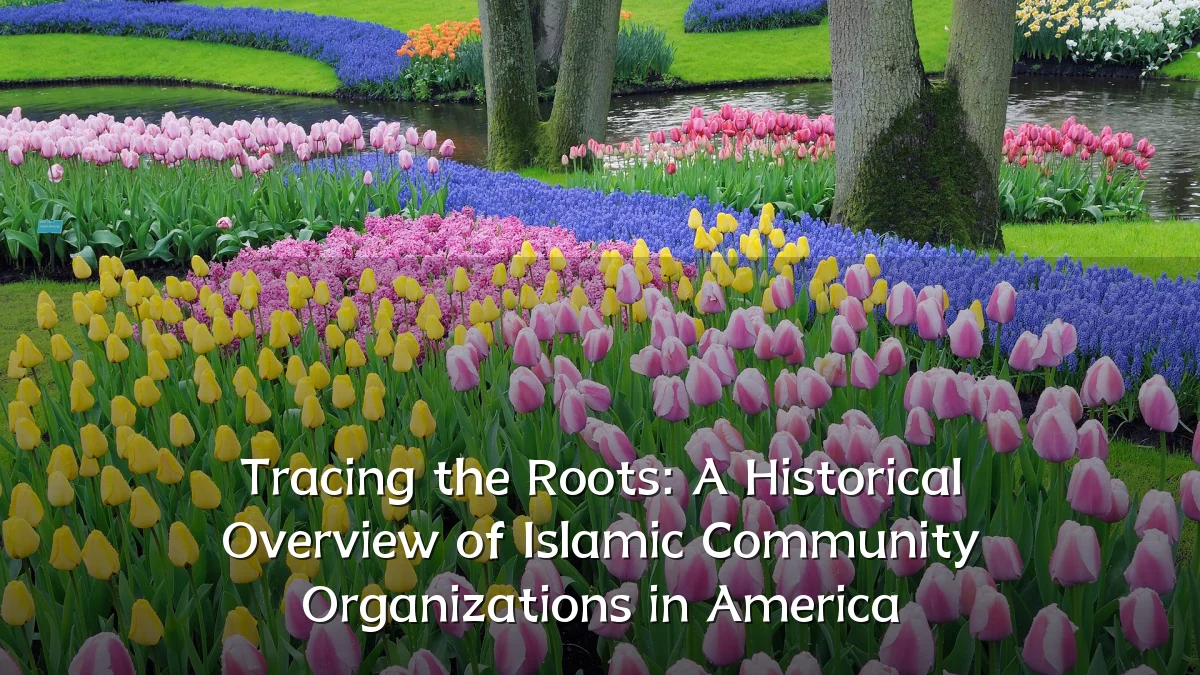 Tracing the Roots: A Historical Overview of Islamic Community Organizations in America
