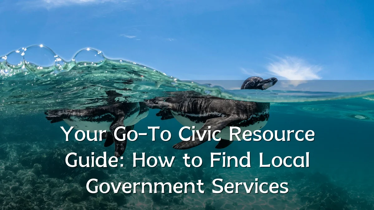 Your Go-To Civic Resource Guide: How to Find Local Government Services