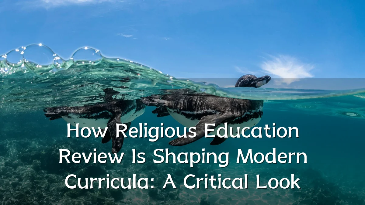 How Religious Education Review Is Shaping Modern Curricula: A Critical Look