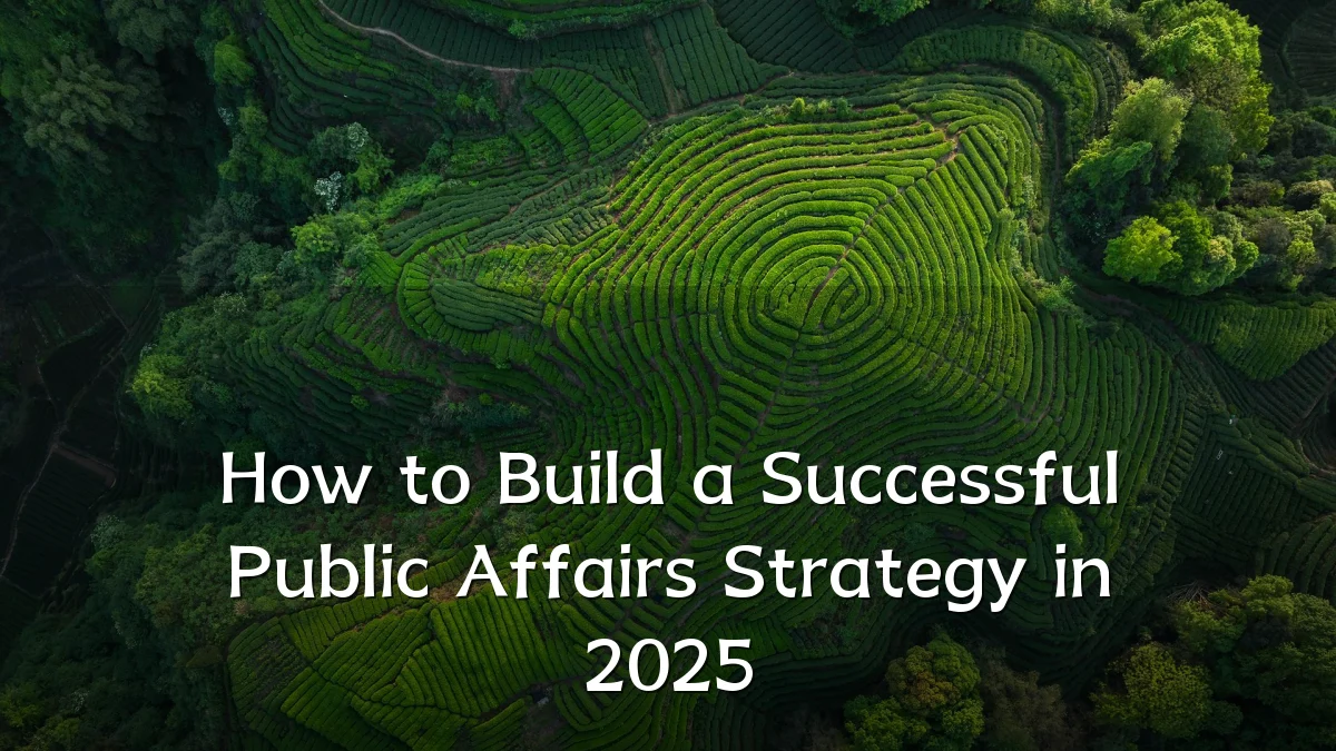 How to Build a Successful Public Affairs Strategy in 2025