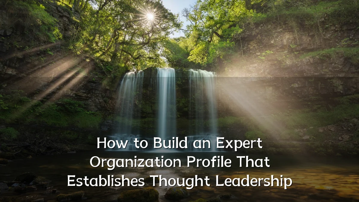 How to Build an Expert Organization Profile That Establishes Thought Leadership