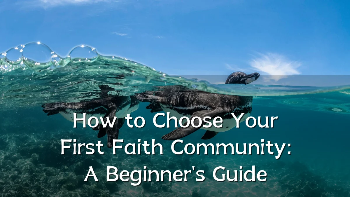 How to Choose Your First Faith Community: A Beginner's Guide