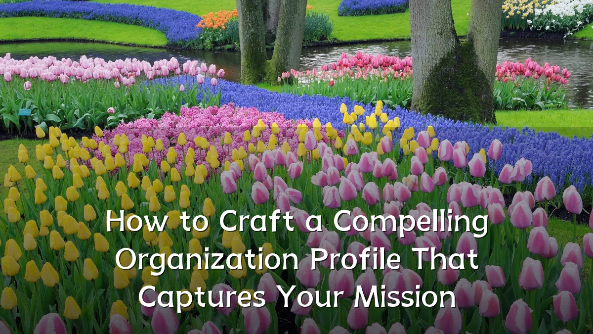 How to Craft a Compelling Organization Profile That Captures Your Mission