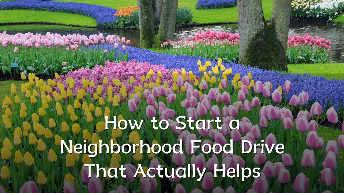 How to Start a Neighborhood Food Drive That Actually Helps