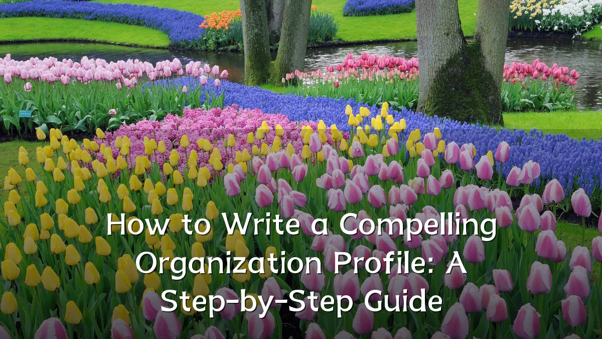 How to Write a Compelling Organization Profile: A Step-by-Step Guide
