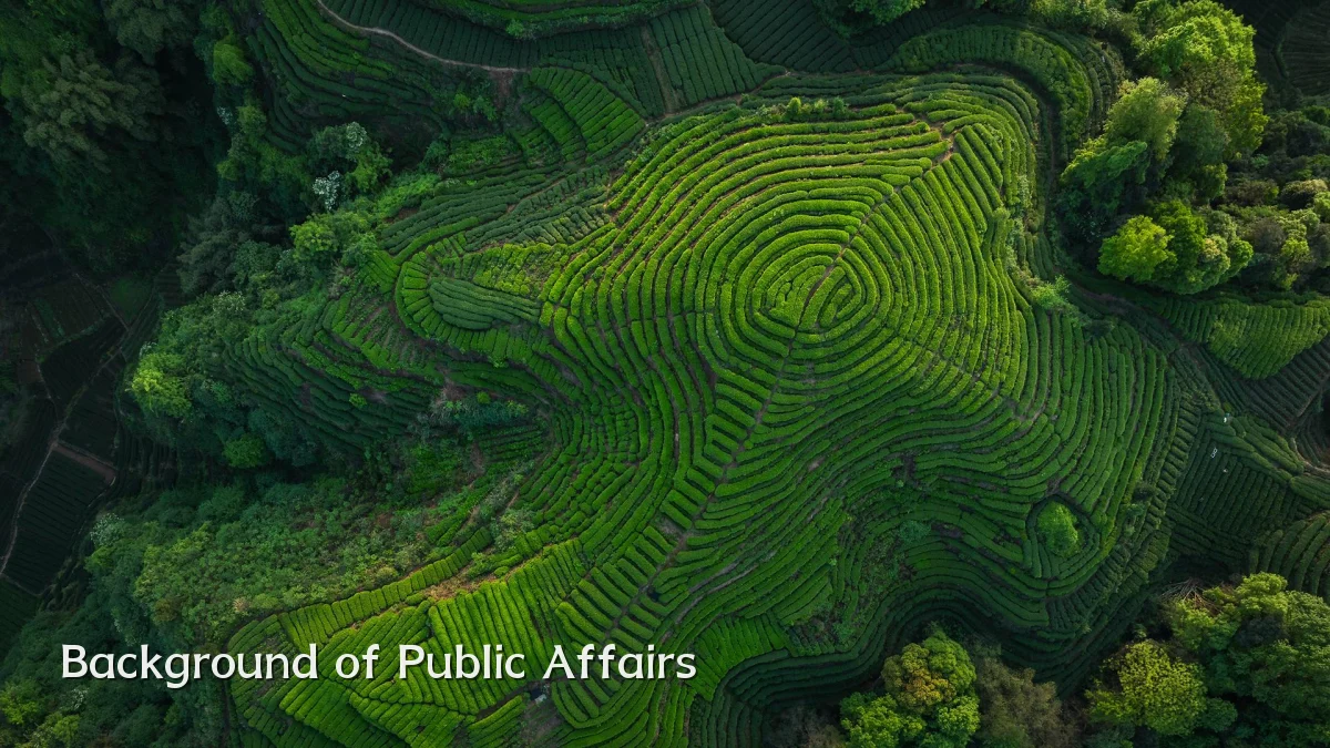 Background of Public Affairs