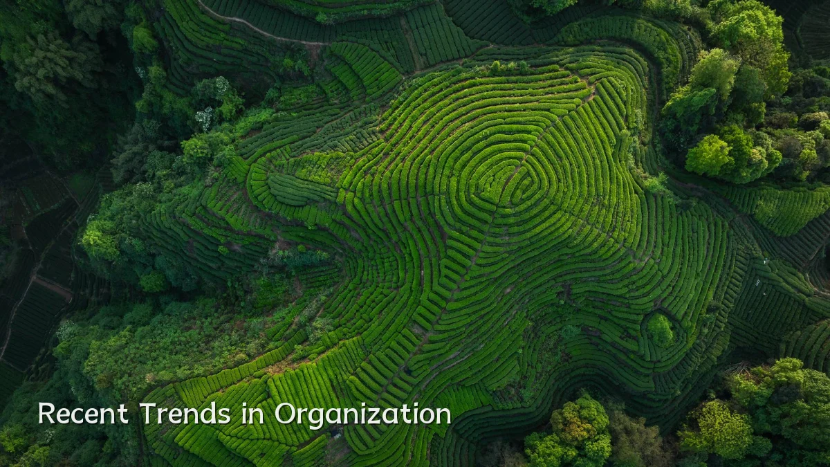 Recent Trends in Organization