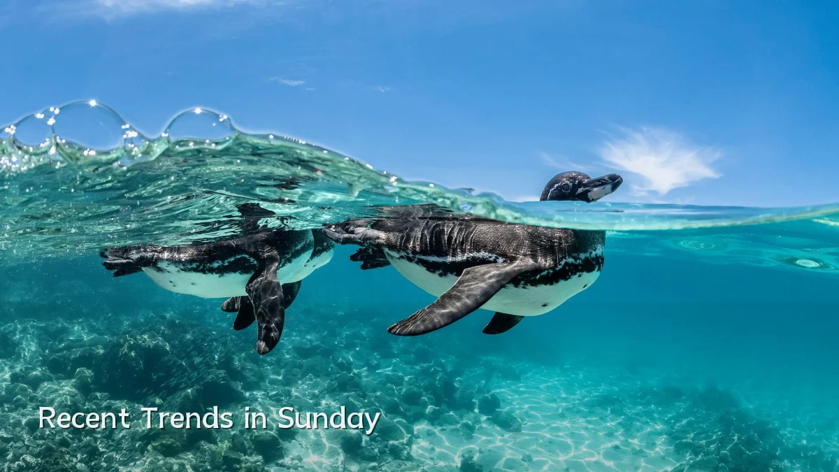 Recent Trends in Sunday