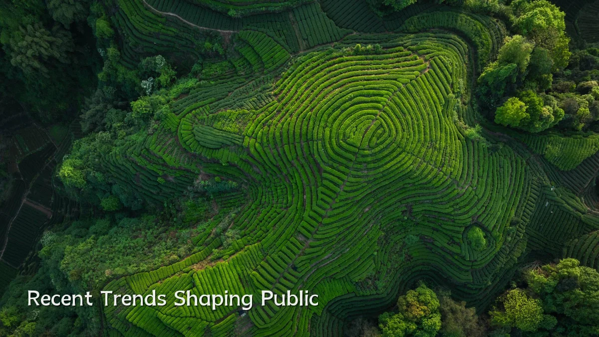 Recent Trends Shaping Public