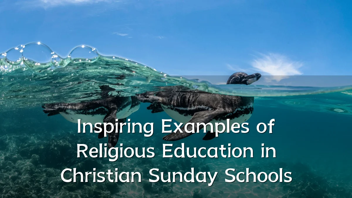 Inspiring Examples of Religious Education in Christian Sunday Schools