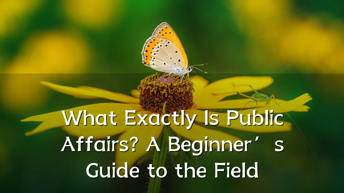 What Exactly Is Public Affairs? A Beginner’s Guide to the Field