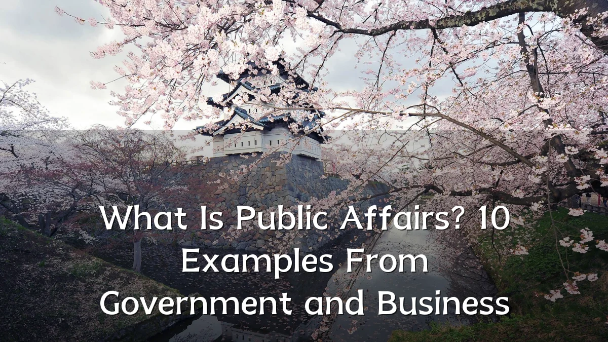 What Is Public Affairs? 10 Examples From Government and Business